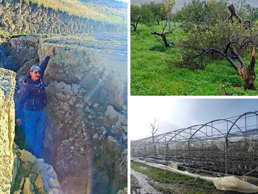 Ciclone Nils, in Calabria anche l’agricoltura è in ginocchio: campi e colture inondati da Reggio a Cosenza