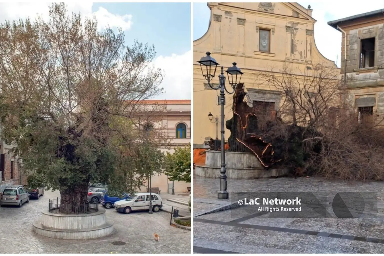 San Lorenzo proclama il lutto cittadino per l’Olmo secolare: «Era la nostra identità»\n