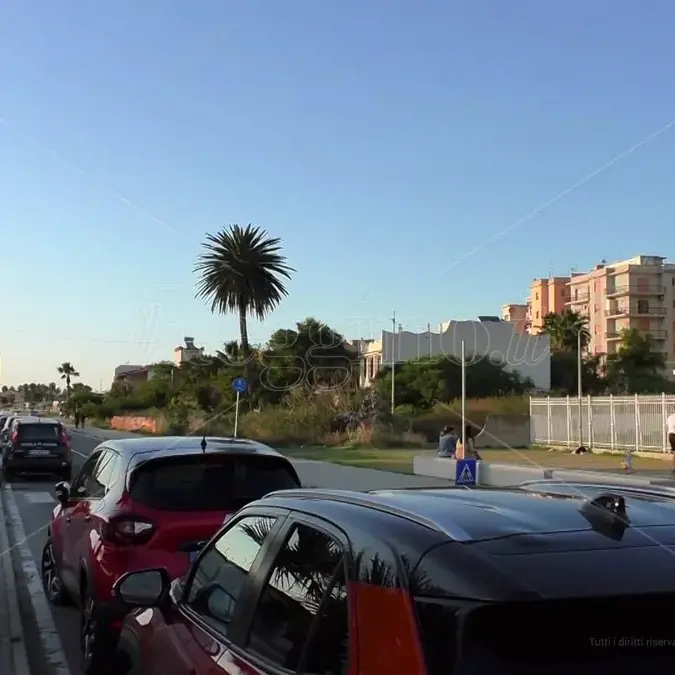 Reggio, il Comune\u00A0istituisce un’area pedonale nel Parco Lineare Sud per gli allenamenti delle società di atletica\n