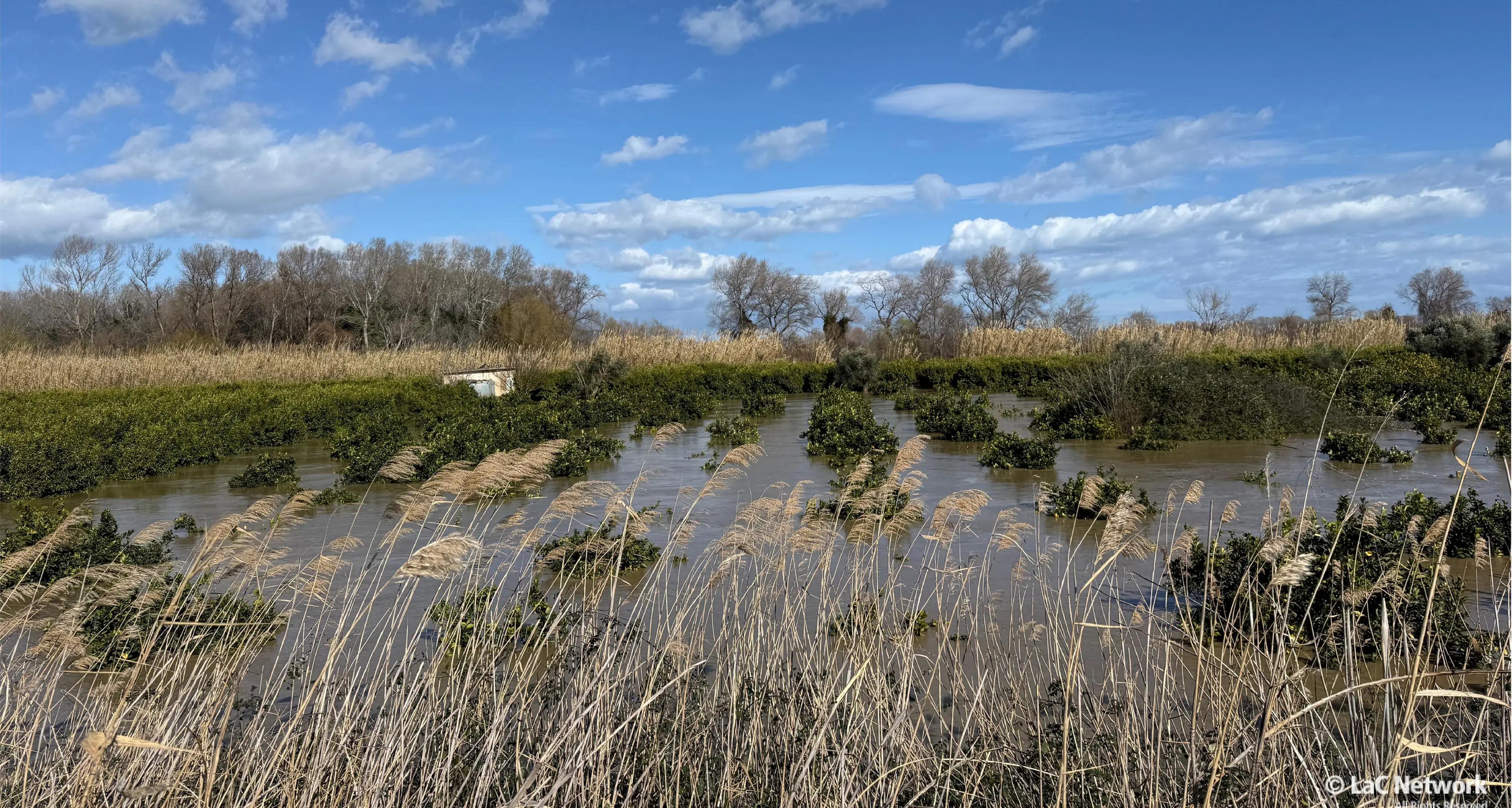 Maltempo, giornata drammatica nel Cosentino: esonda il Crati, un fiume di acqua e fango tra abitazioni e campi\n