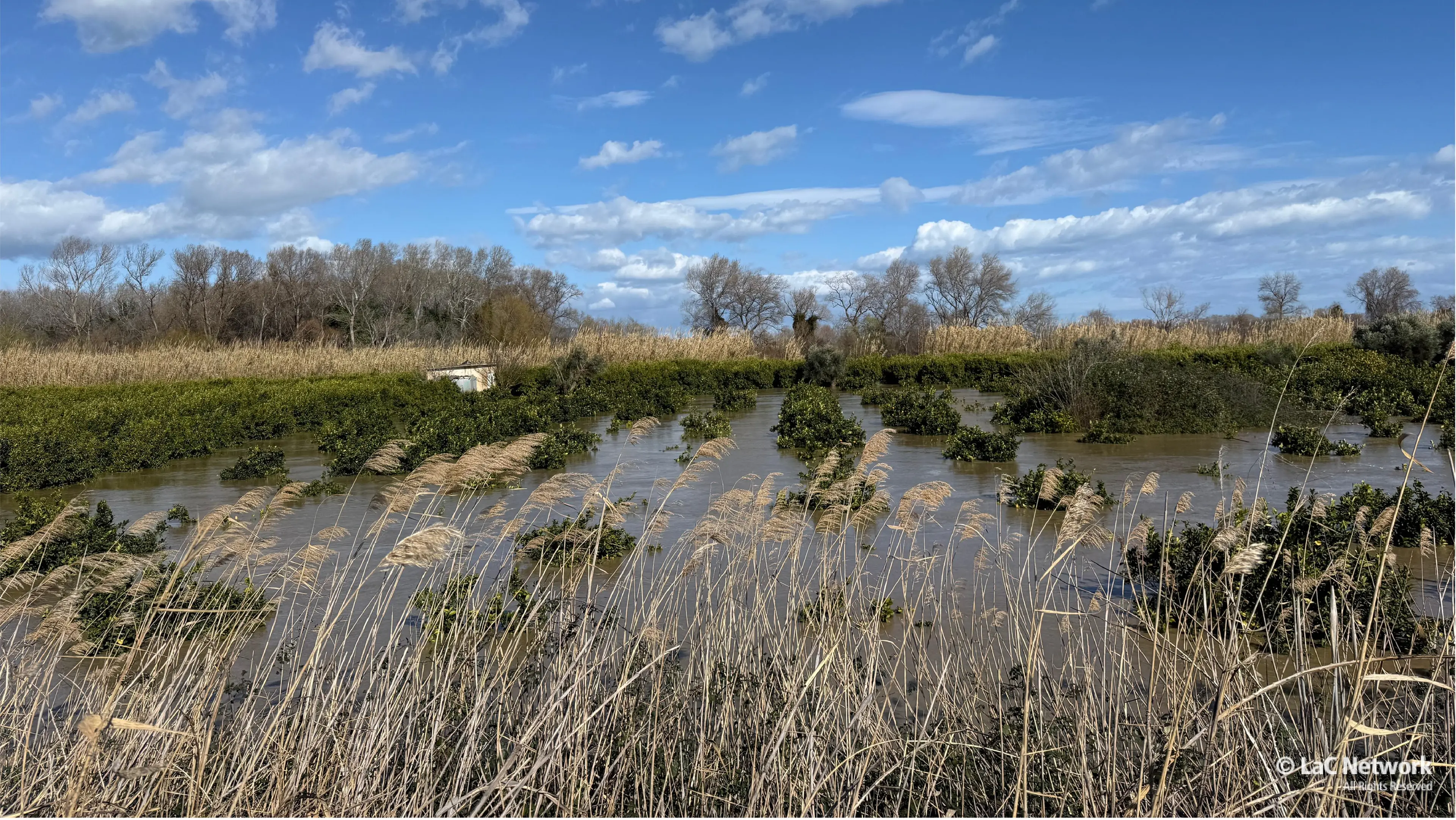 Maltempo, giornata drammatica nel Cosentino: esonda il Crati, un fiume di acqua e fango tra abitazioni e campi\n