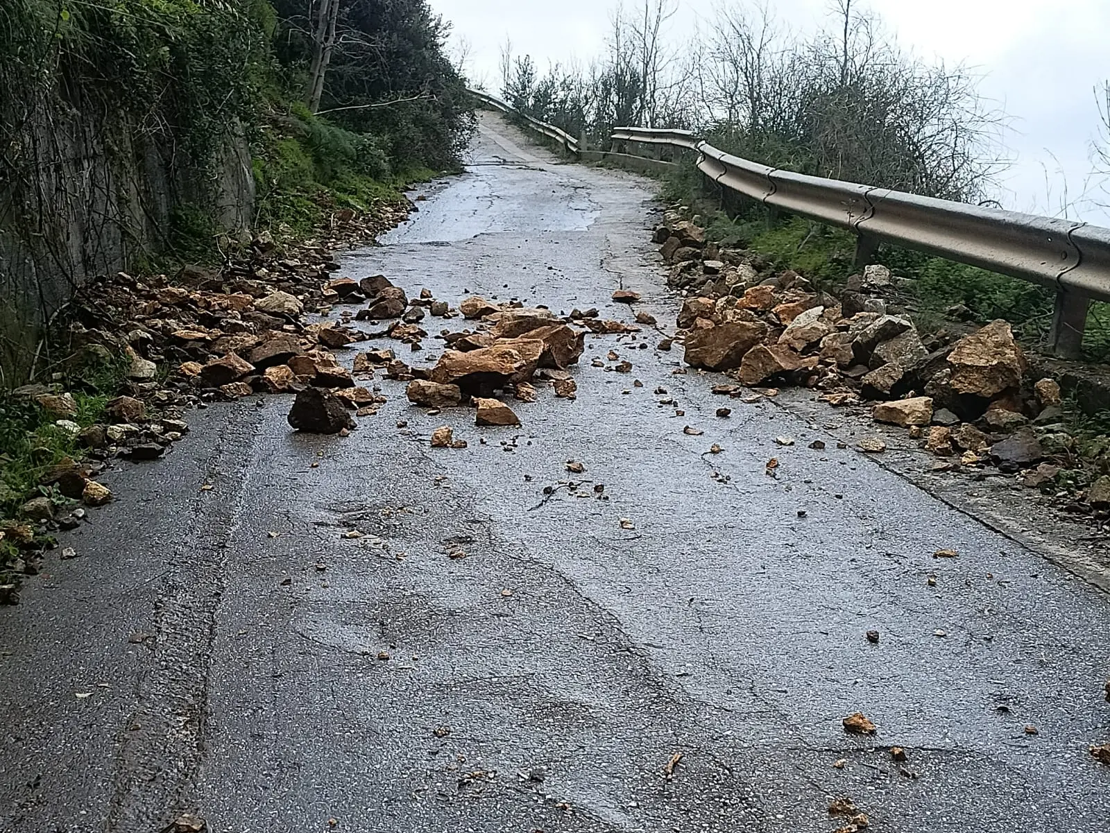 Frane e smottamenti sulla Costa Viola: la denuncia del Comitato in difesa del territorio\n