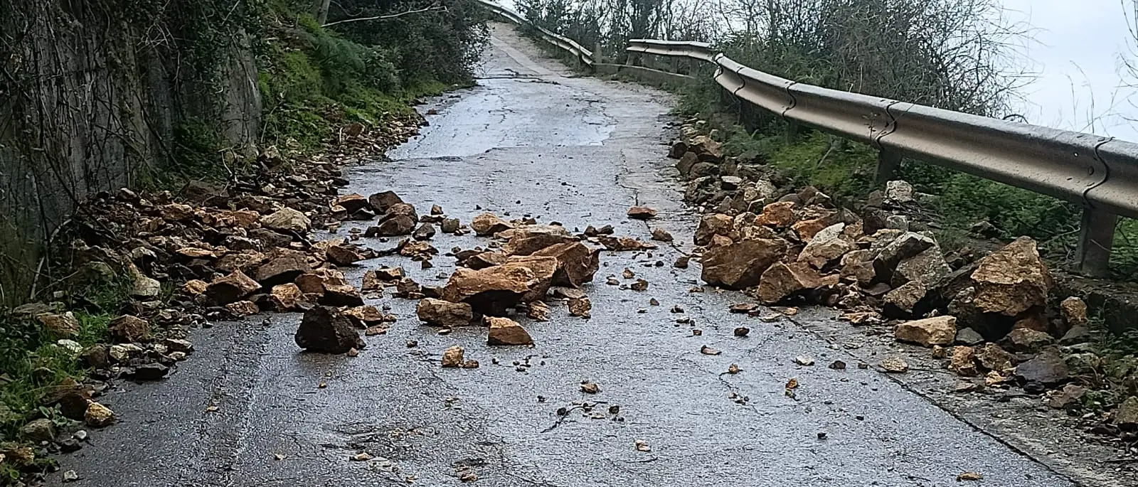 Frane e smottamenti sulla Costa Viola: la denuncia del Comitato in difesa del territorio\n
