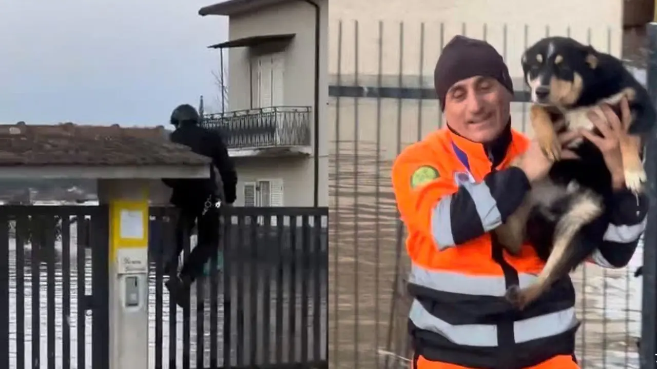 Tarsia: Billi è salvo! I volontari affrontano la piena del Crati