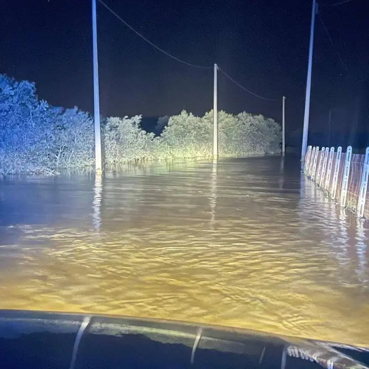 Il Crati esonda, fiume di acqua e fango nella Sibaritide: «Viviamo nel terrore, qualcuno deve pagare»\n