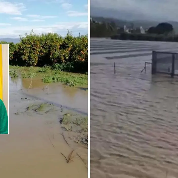 Il Crati esonda e devasta la Sibaritide, Madeo: «Subito ristori alle aziende colpite»\n