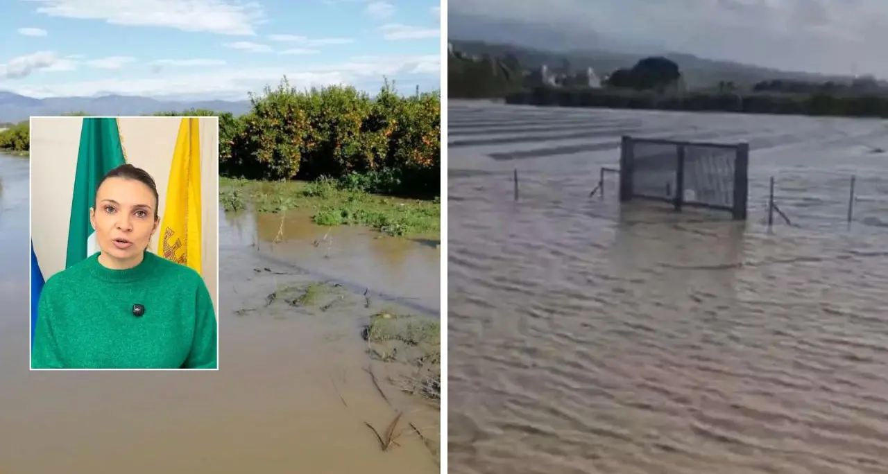 Il Crati esonda e devasta la Sibaritide, Madeo: «Subito ristori alle aziende colpite»\n