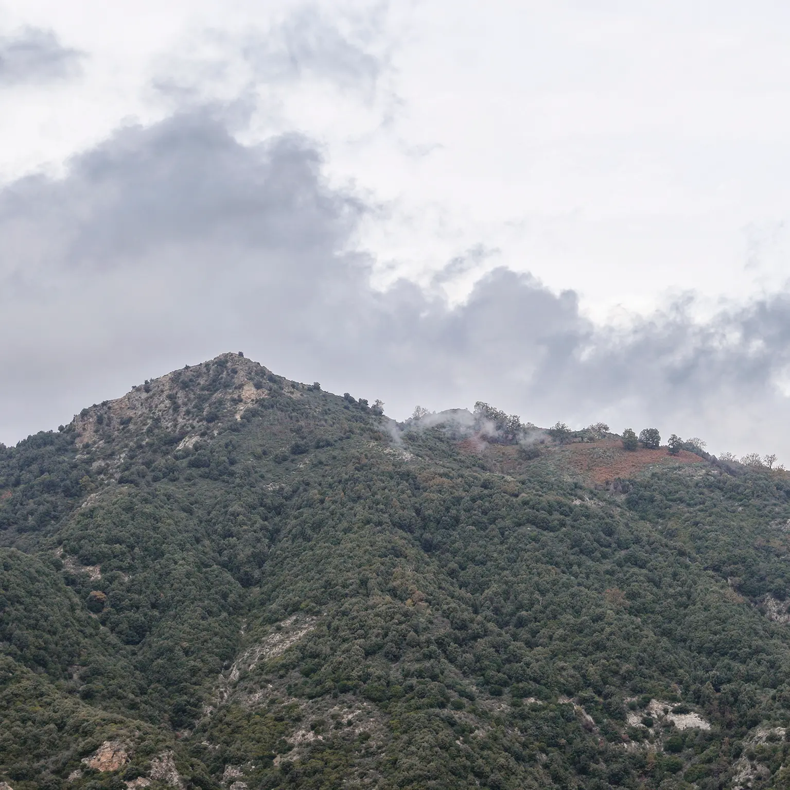 Il Balcone delle Aquile celebra 40 anni di cammini: una domenica tra i panorami mozzafiato dell’Aspromonte\n