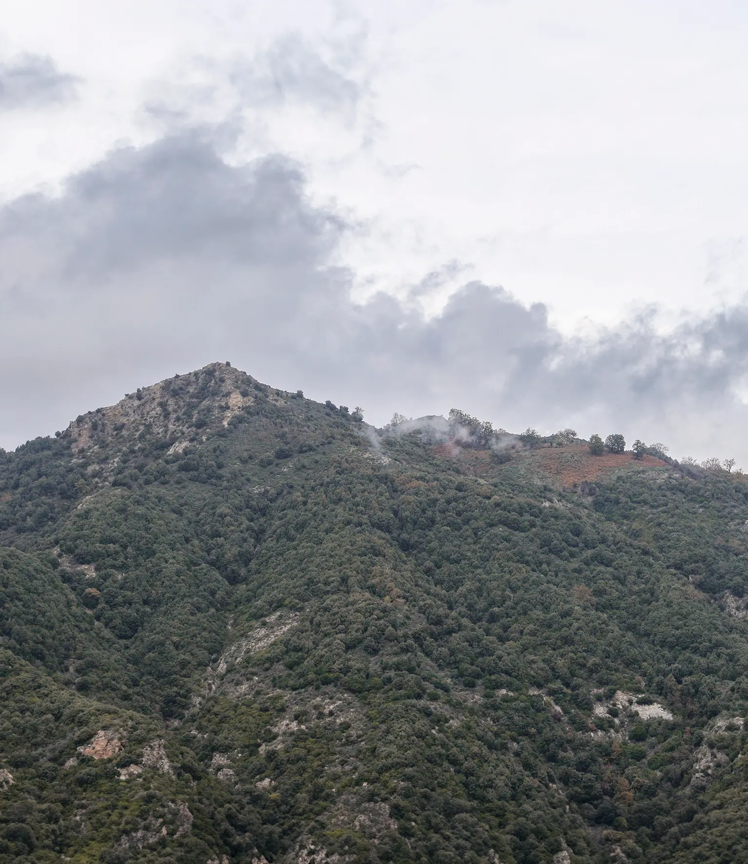 Il Balcone delle Aquile celebra 40 anni di cammini: una domenica tra i panorami mozzafiato dell’Aspromonte\n