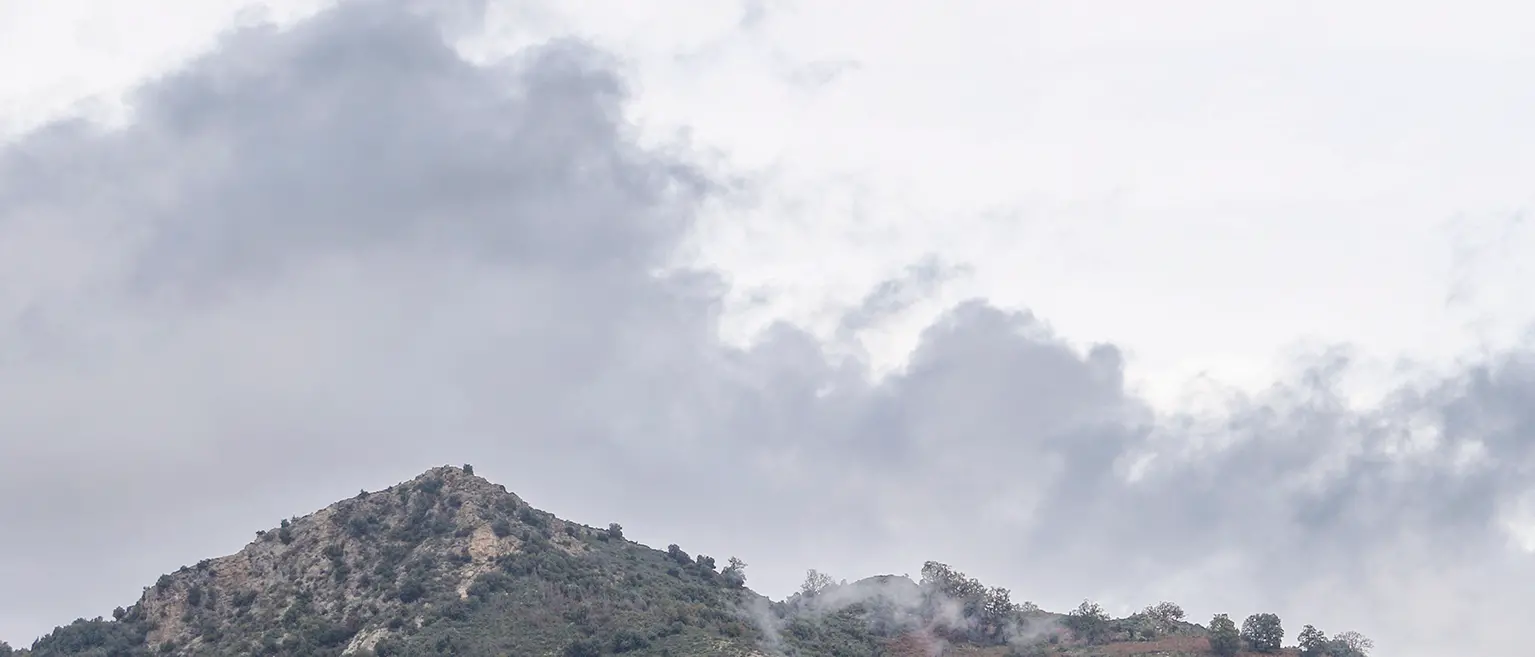 Il Balcone delle Aquile celebra 40 anni di cammini: una domenica tra i panorami mozzafiato dell’Aspromonte\n