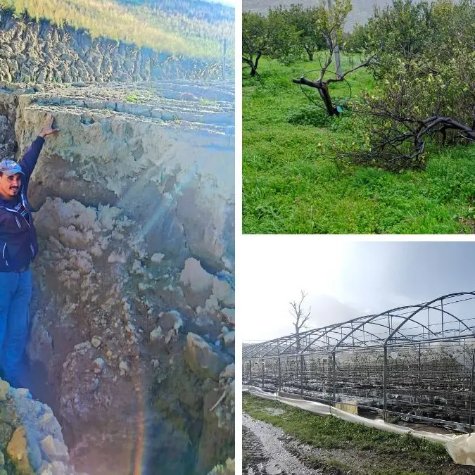 Il maltempo compromette (anche) colture e infrastrutture rurali, Confagricoltura Calabria:\u00A0«Perdite gravissime»\n