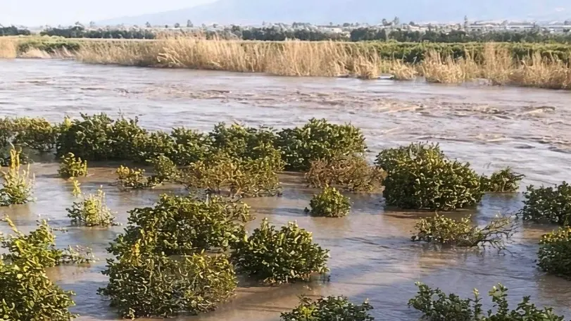 <p>Il maltempo devasta l’agricoltura calabrese: «Oltre 3mila ettari di terreni sommersi. Aziende, lavoro e futuro compromessi»</p>