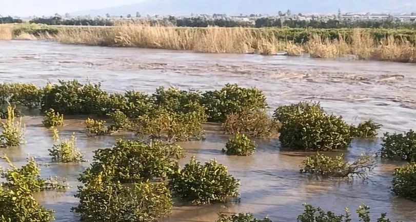 Il maltempo devasta l’agricoltura calabrese, Coldiretti: «Oltre 3mila ettari di terreni sommersi. Aziende, lavoro e futuro compromessi»\n