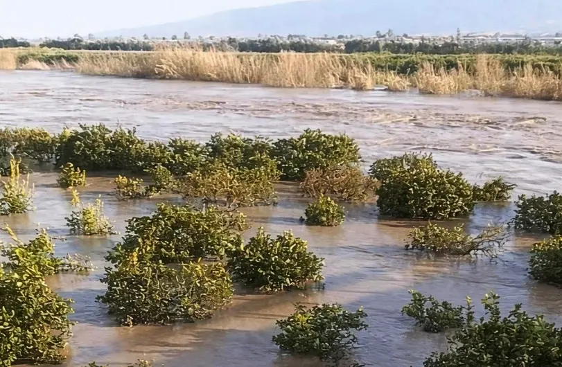 Il maltempo devasta l’agricoltura calabrese, Coldiretti: «Oltre 3mila ettari di terreni sommersi. Aziende, lavoro e futuro compromessi»\n