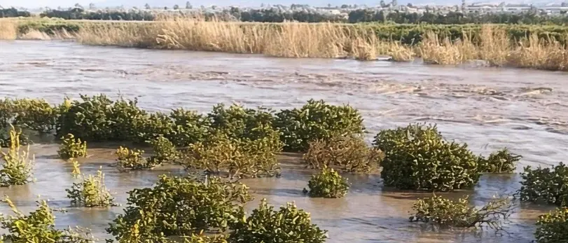 Il maltempo devasta l’agricoltura calabrese, Coldiretti: «Oltre 3mila ettari di terreni sommersi. Aziende, lavoro e futuro compromessi»\n