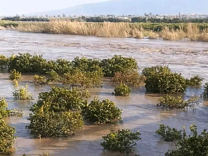 Il maltempo devasta l’agricoltura calabrese, Coldiretti: «Oltre 3mila ettari di terreni sommersi. Aziende, lavoro e futuro compromessi»