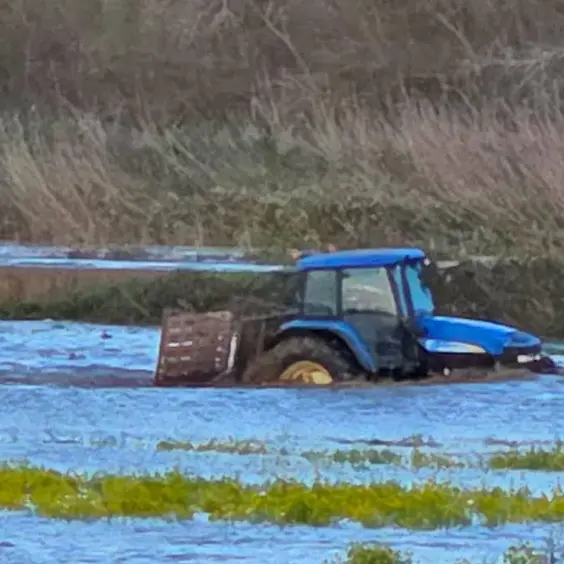 Il maltempo devasta l’agricoltura calabrese, Coldiretti: «Oltre 3mila ettari di terreni sommersi. Aziende, lavoro e futuro compromessi»\n