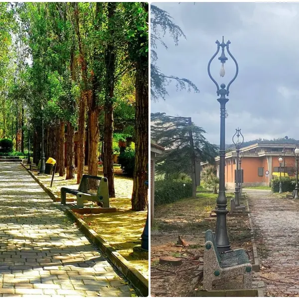 Strage di alberi alla villa comunale di Caulonia, decine i pioppi abbattuti dal Comune e la minoranza insorge: «Taglio ingiustificato»\n