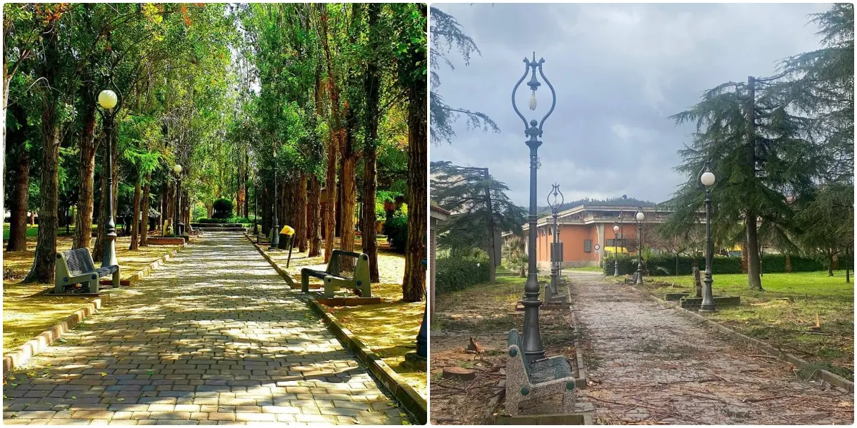 Strage di alberi alla villa comunale di Caulonia, decine i pioppi abbattuti dal Comune e la minoranza insorge: «Taglio ingiustificato»\n