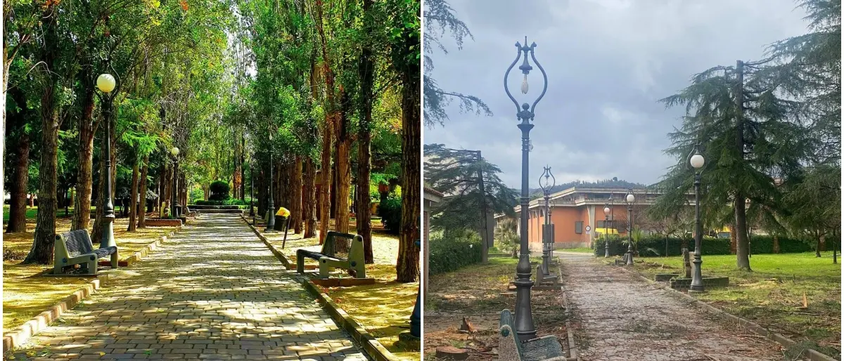 Strage di alberi alla villa comunale di Caulonia, decine i pioppi abbattuti dal Comune e la minoranza insorge: «Taglio ingiustificato»\n