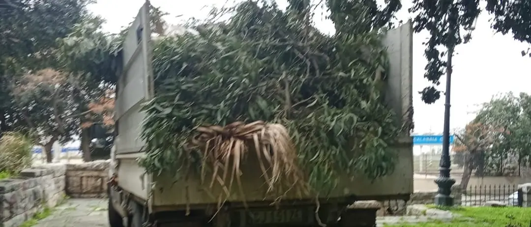 Maltempo, Merenda ringrazia i lavoratori Castore: «Alberature hanno retto grazie alla manutenzione programmata»\n