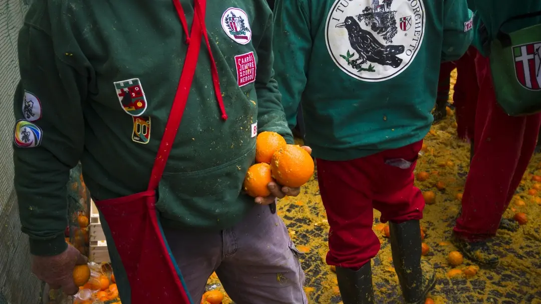 Copyright Marco Destefanis , Marco Destefanis