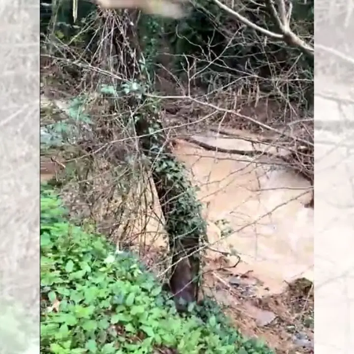 Cosenza, Ciavoli senza acqua da quattro giorni: De Cicco sul posto per ripristinare la condotta danneggiata dal maltempo\n