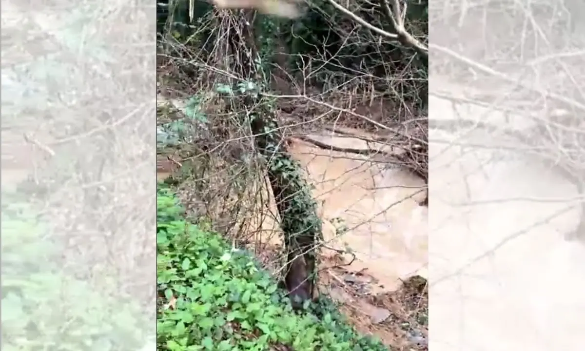 Cosenza, Ciavoli senza acqua da quattro giorni: De Cicco sul posto per ripristinare la condotta danneggiata dal maltempo\n
