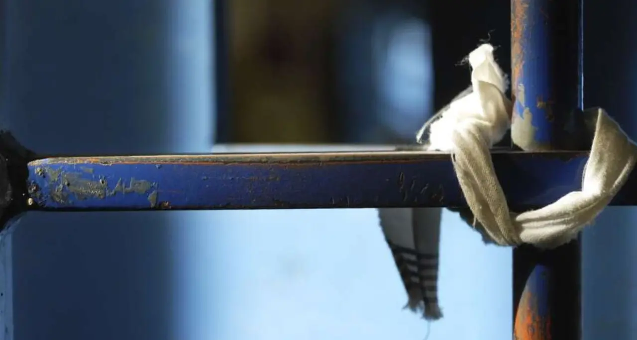 Si suicidò in carcere, il ministero della Giustizia condannato a risarcire 400mila euro alla famiglia\n