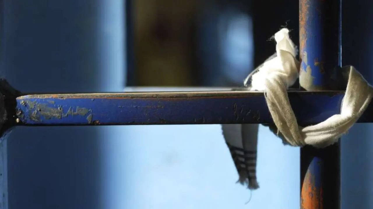 Si suicidò in carcere, il Ministero della Giustizia condannato a risarcire 400mila euro alla famiglia\n