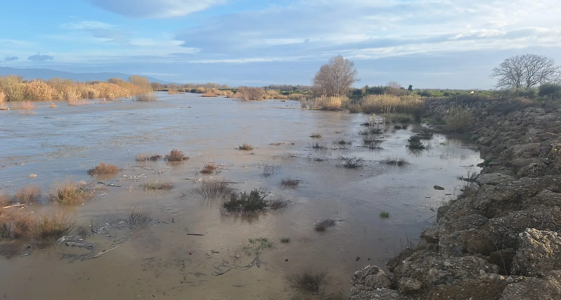 Esondazione del Crati, le imprese boschive di Confapi pronte a dare una mano per fronteggiare l’emergenza\n