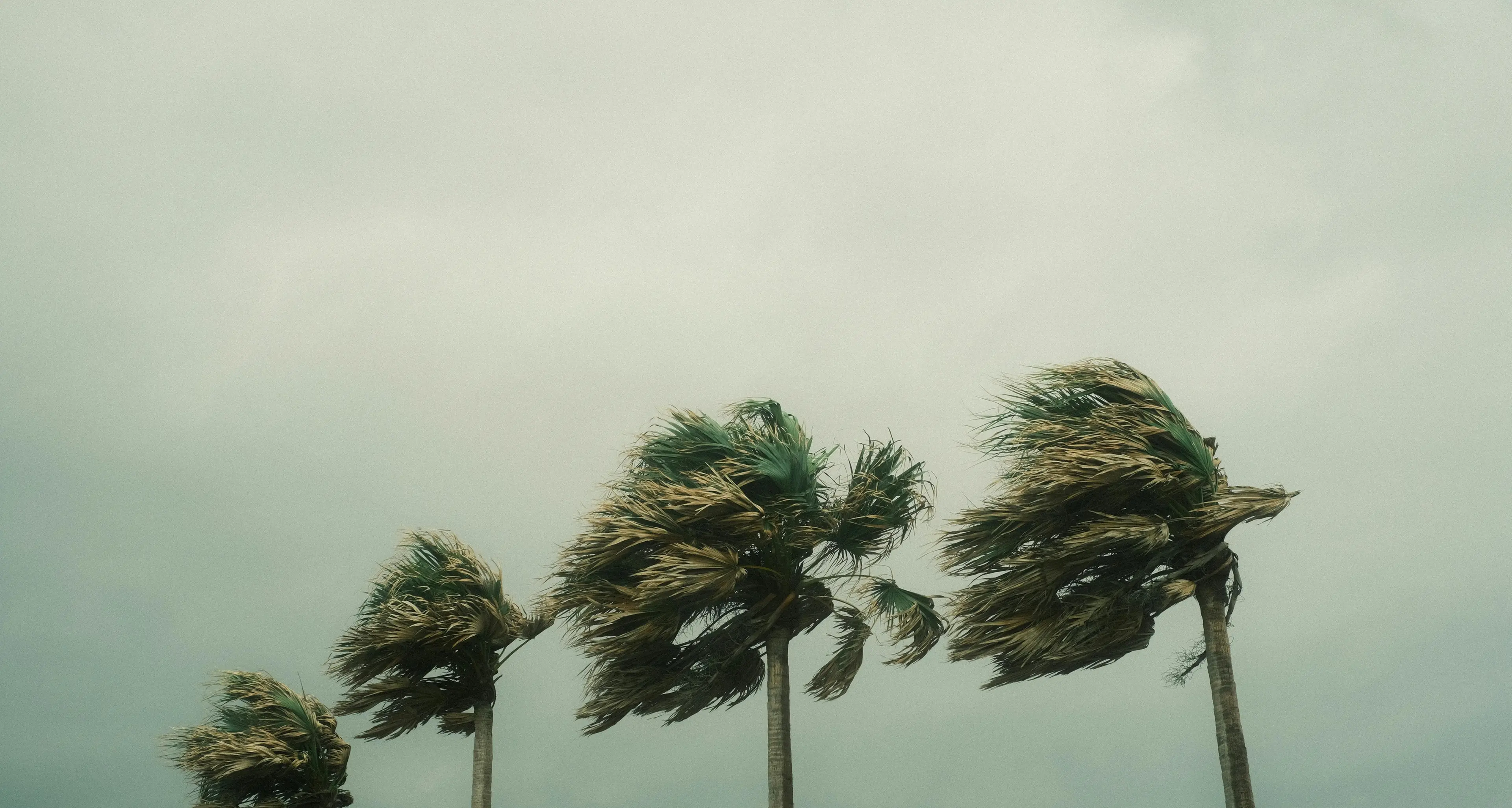 Ennesimo ciclone, in Calabria una notte di tempesta con temporali e\u00A0venti fino a 130 km/h: ecco le aree più colpite\n