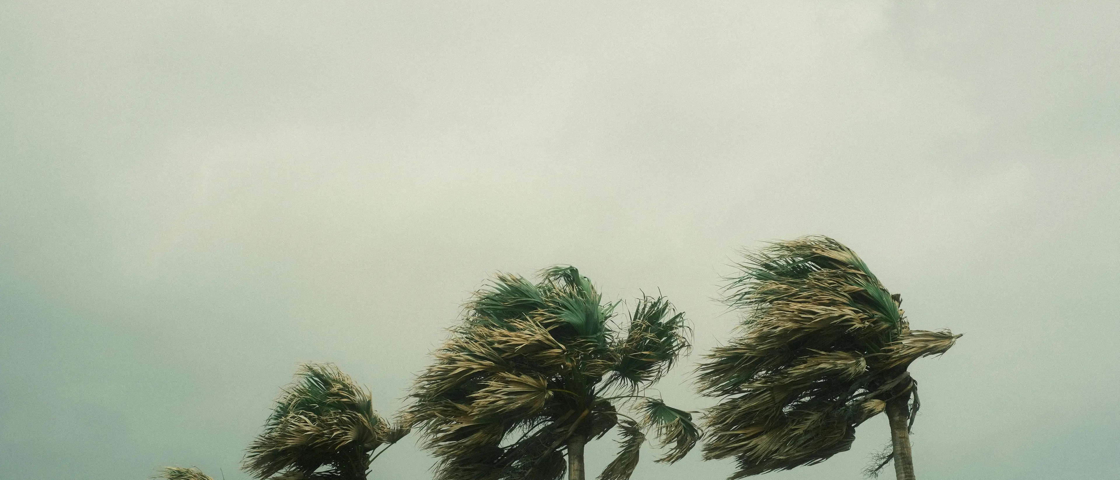Ennesimo ciclone, in Calabria una notte di tempesta con temporali e\u00A0venti fino a 130 km/h: ecco le aree più colpite\n