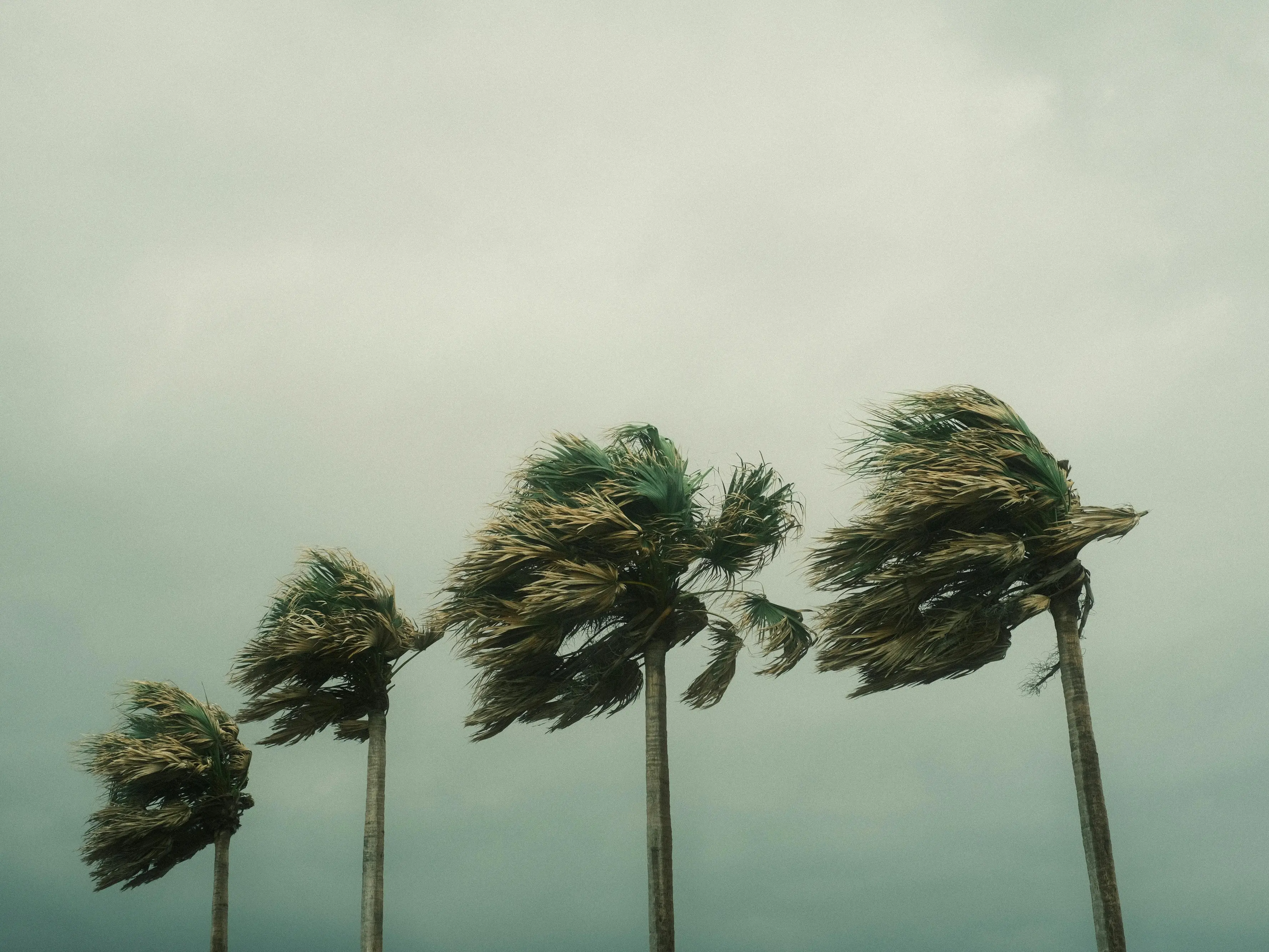 Ennesimo ciclone, in Calabria una notte di tempesta con temporali e venti fino a 130 km/h: ecco le aree più colpite