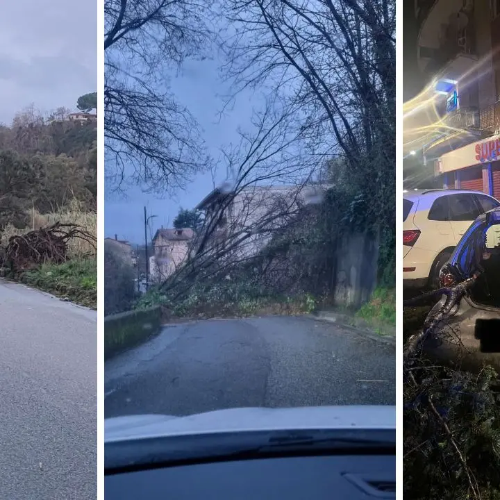 Il nuovo ciclone spazza la Calabria: strade interrotte e alberi abbattuti in centro a Cosenza e Catanzaro\u00A0–\u00A0LIVE\n