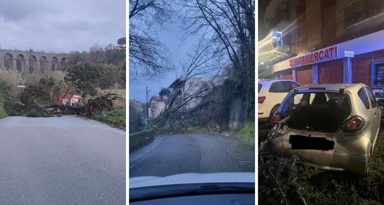 Il nuovo ciclone spazza la Calabria: strade interrotte e danni per il vento nel Cosentino - LIVE