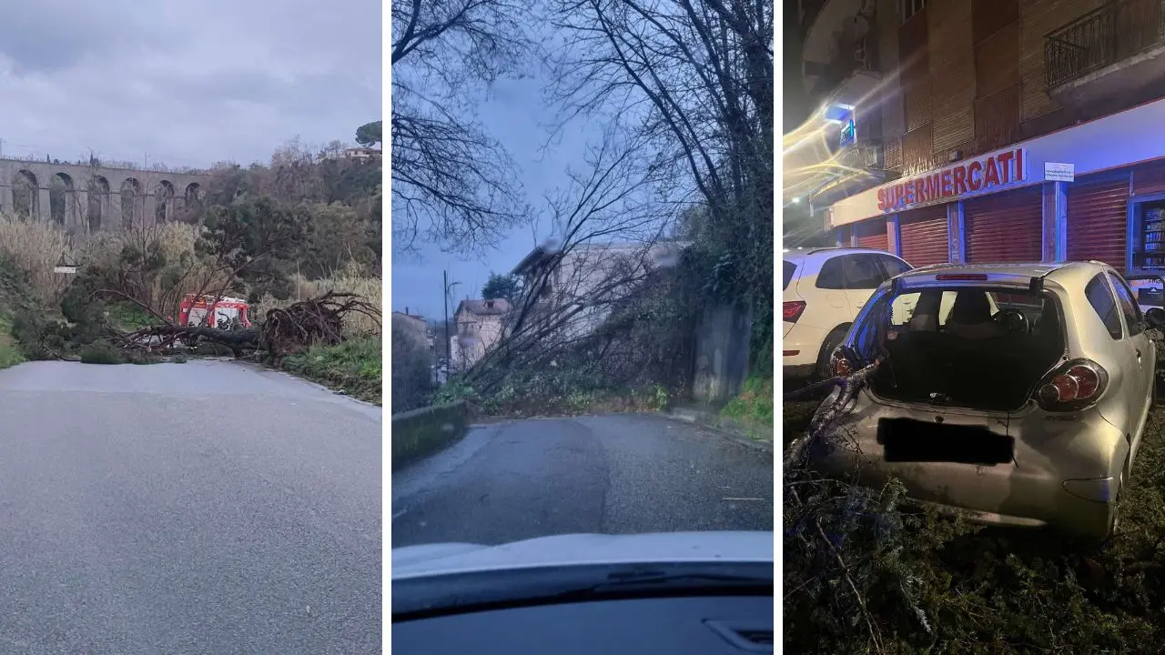 Il nuovo ciclone spazza la Calabria: strade interrotte e alberi abbattuti in centro a Cosenza e Catanzaro\u00A0–\u00A0LIVE\n