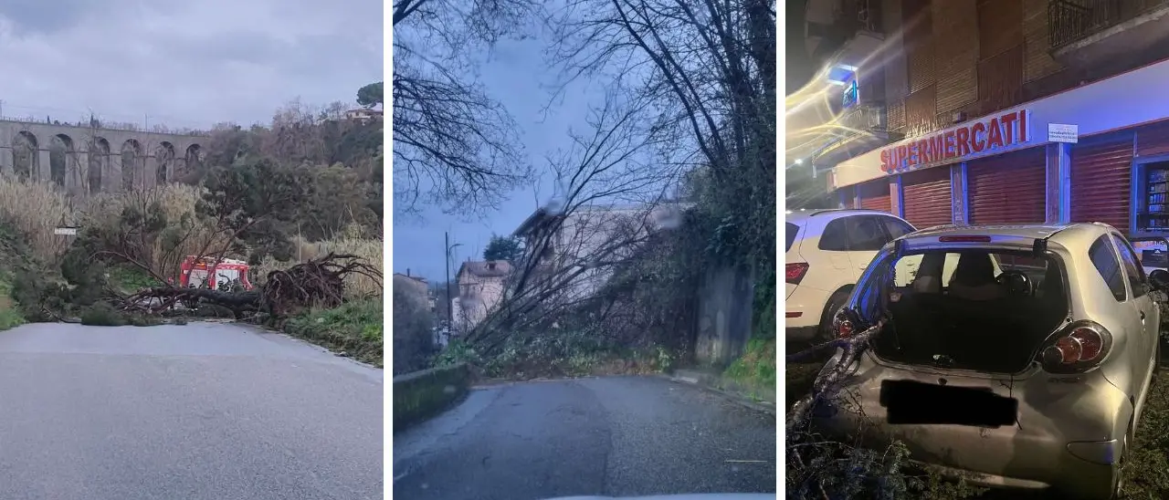 Il nuovo ciclone spazza la Calabria: strade interrotte e alberi abbattuti in centro a Cosenza e Catanzaro\u00A0–\u00A0LIVE\n