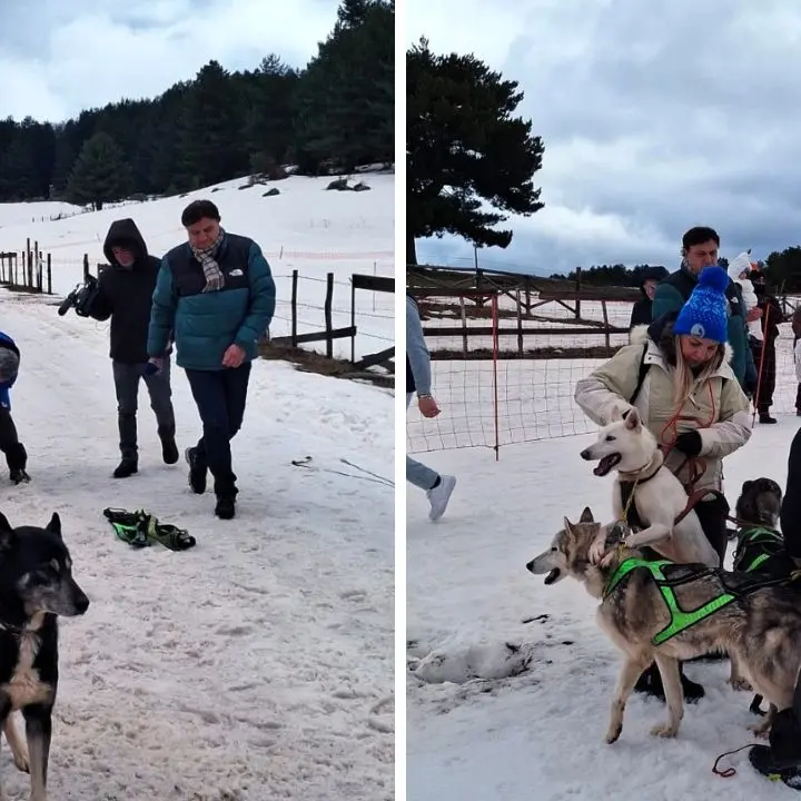 “Dog on the Snow”, due giornate indimenticabili tra neve, natura ed emozioni in Sila\n