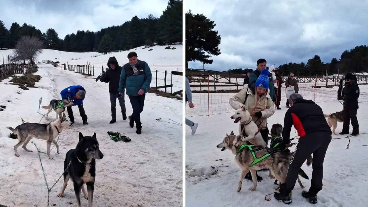 “Dog on the Snow”, due giornate indimenticabili tra neve, natura ed emozioni in Sila\n