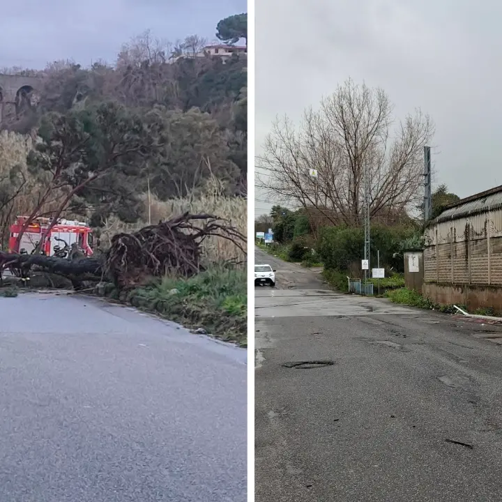 Maltempo, rami e alberi caduti sulle strade vibonesi: chiusa la Nsa 572 a Serra e la Sp 22 tra Ricadi e Tropea\n