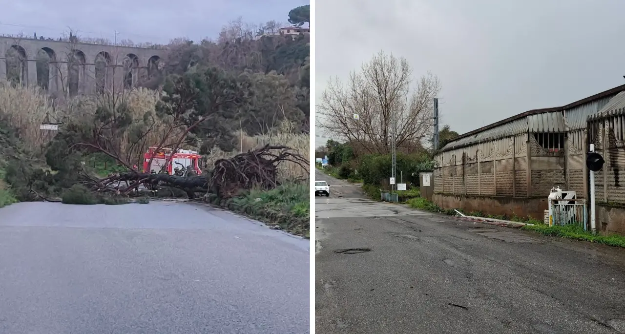 Maltempo, rami e alberi caduti sulle strade vibonesi: chiusa la Nsa 572 a Serra e la Sp 22 tra Ricadi e Tropea\n
