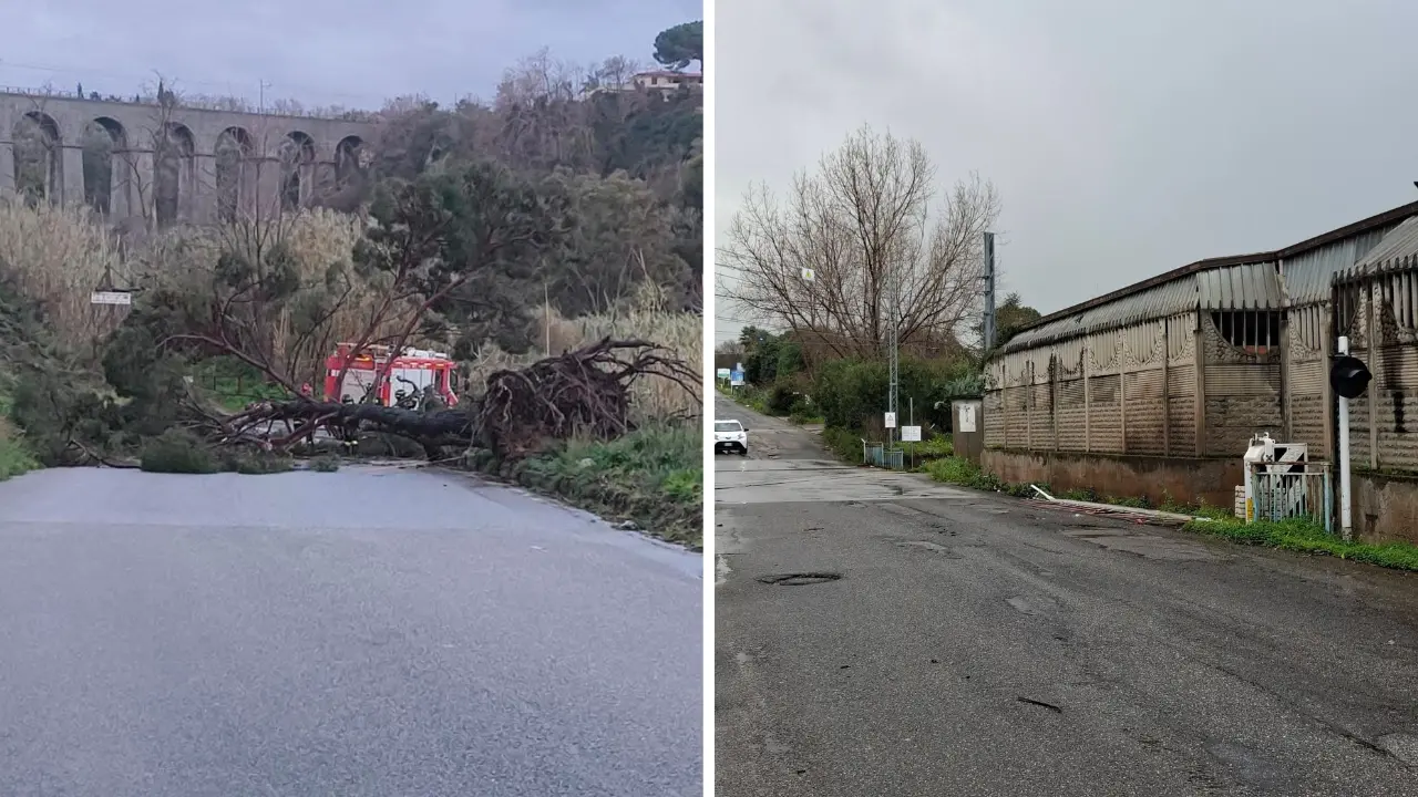 Maltempo, rami e alberi caduti sulle strade vibonesi: chiusa la Nsa 572 a Serra e la Sp 22 tra Ricadi e Tropea\n