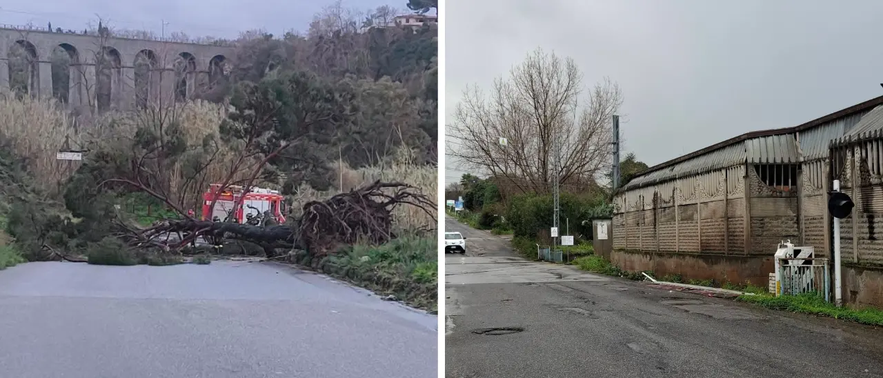 Maltempo, rami e alberi caduti sulle strade vibonesi: chiusa la Nsa 572 a Serra e la Sp 22 tra Ricadi e Tropea\n
