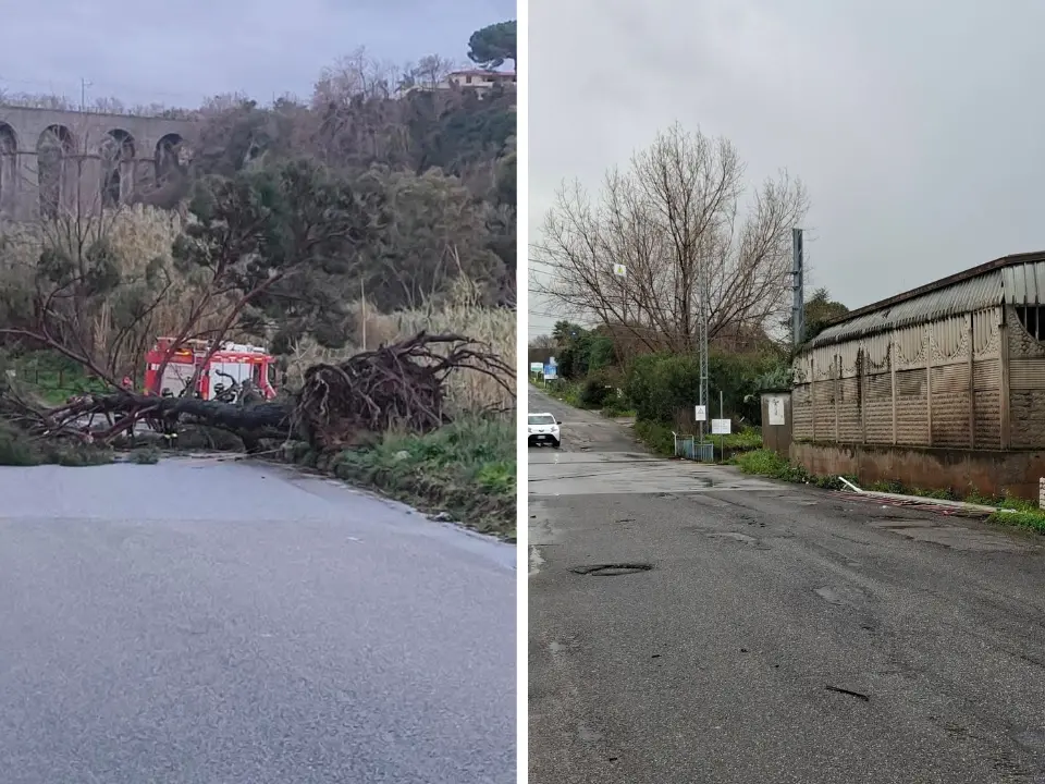Maltempo, rami e alberi caduti sulle strade vibonesi: chiusa la Nsa 572 a Serra e la Sp 22 tra Ricadi e Tropea