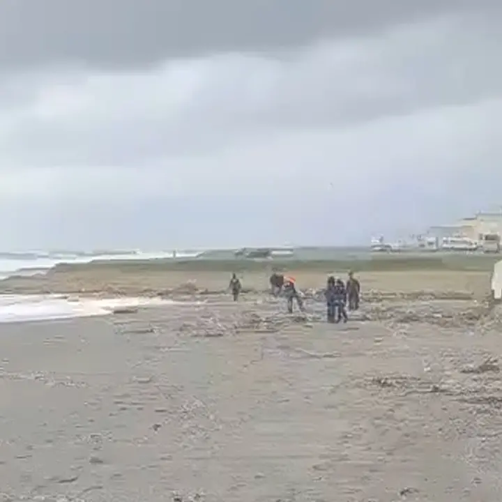 Il Tirreno cosentino restituisce un altro corpo, rinvenuto il\u00A0terzo cadavere in pochi giorni\n