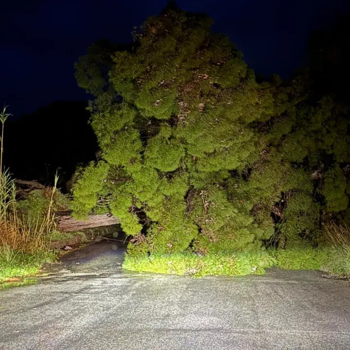 Maltempo nel Vibonese, diverse strade chiuse per frane e alberi caduti. Il prefetto convoca d’urgenza il Centro coordinamento soccorsi\n