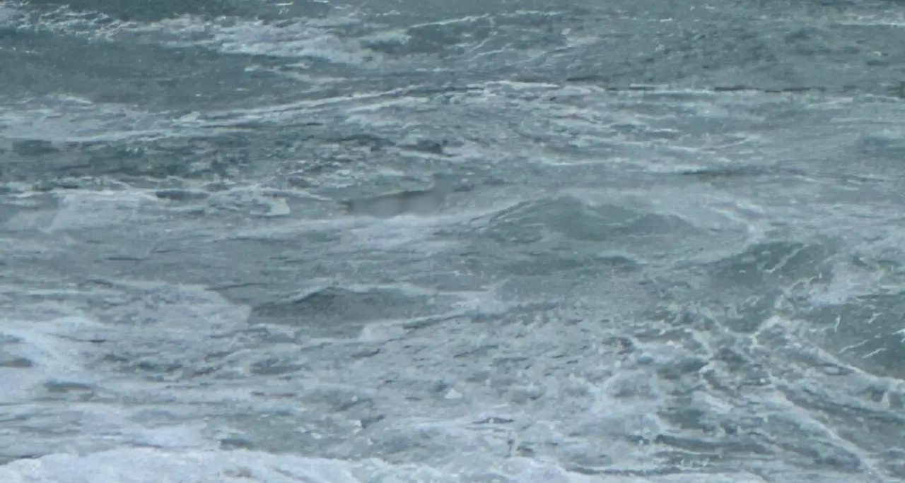 Il Tirreno in tempesta restituisce altri\u00A0due cadaveri a Tropea, sono cinque quelli rinvenuti negli ultimi dieci giorni\u00A0\n