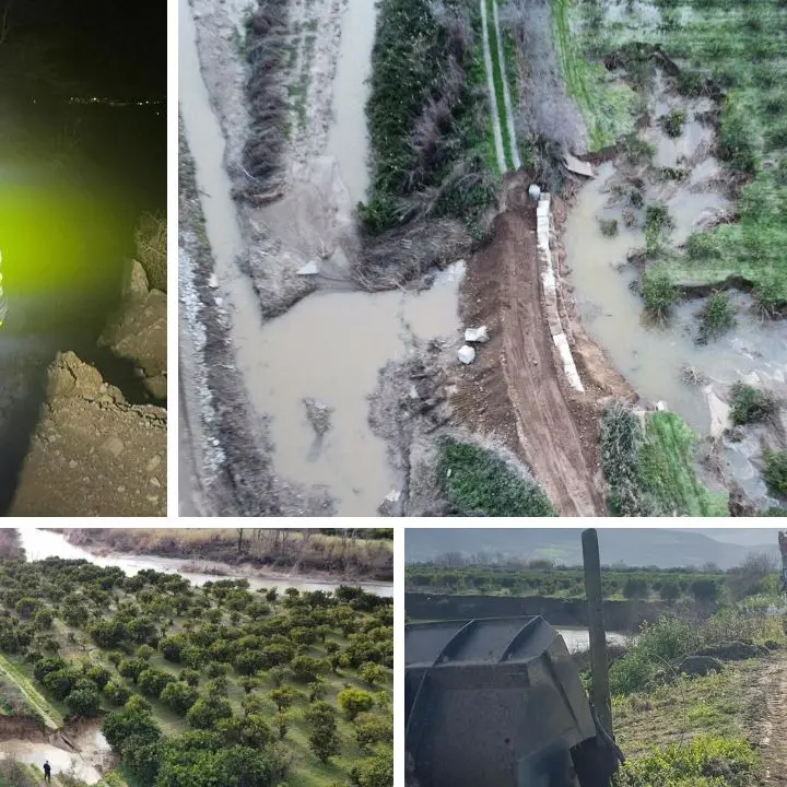 Coscile esonda a monte di Apollinara: acqua ai piedi della SP178, evacuazione lungo strada Mordillo sul lato fiume\n