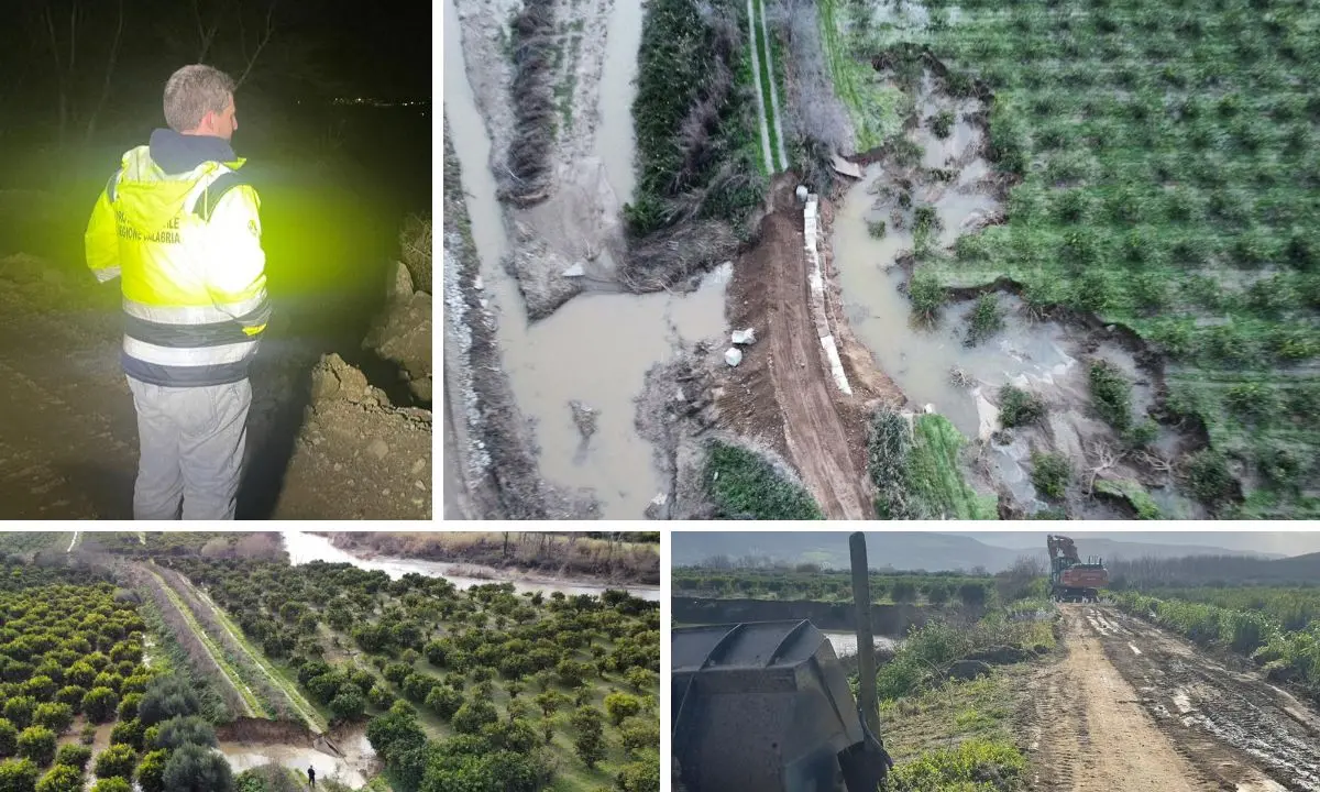 Coscile esonda a monte di Apollinara: acqua ai piedi della SP178, evacuazione lungo strada Mordillo sul lato fiume\n